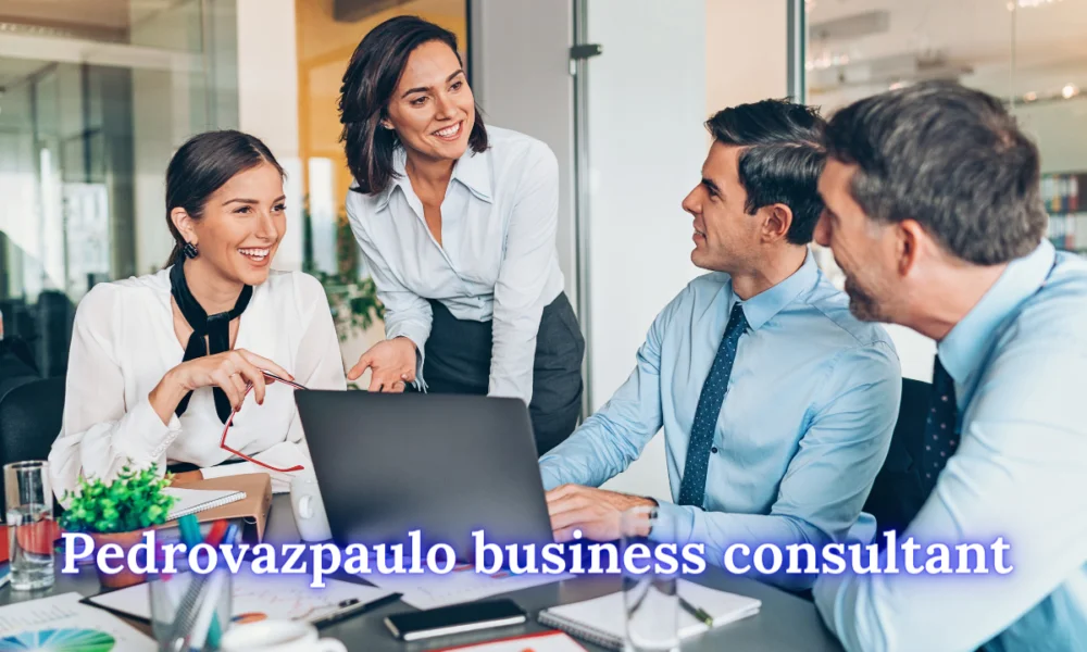 Pedrovazpaulo: Navigating Your Business to New Heights